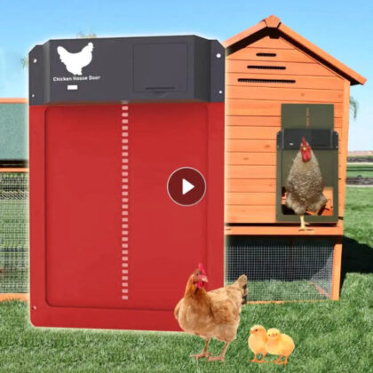 High-Quality Automatic Chicken Coop Door with Light Sensor for Chicken and Duck Cages